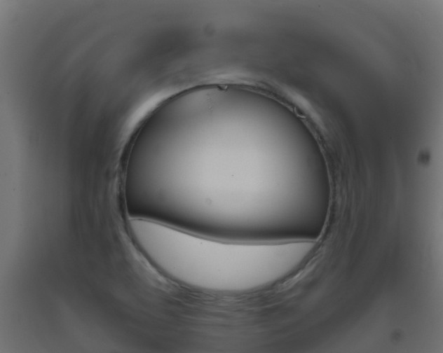 X0000093411463200710120906