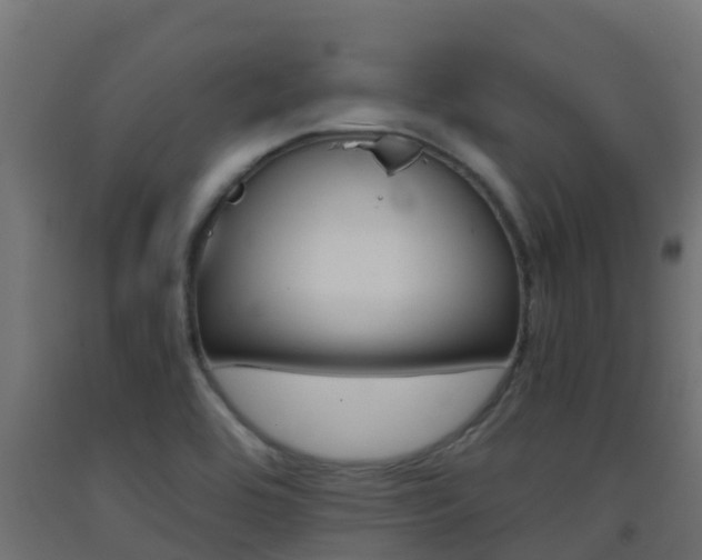 X0000093411464200710120906