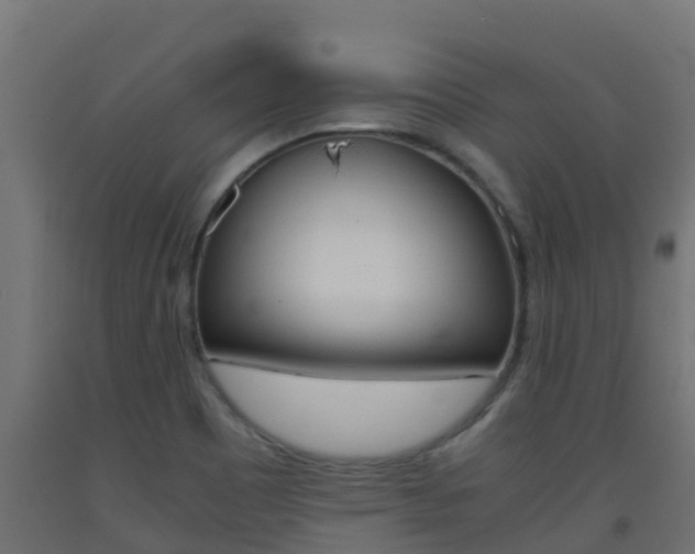 X0000093411465200710120906