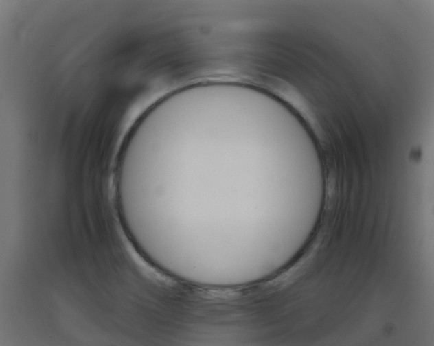 X0000093411466200710120906