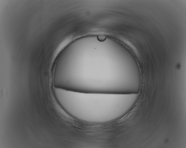 X0000093411467200710120906
