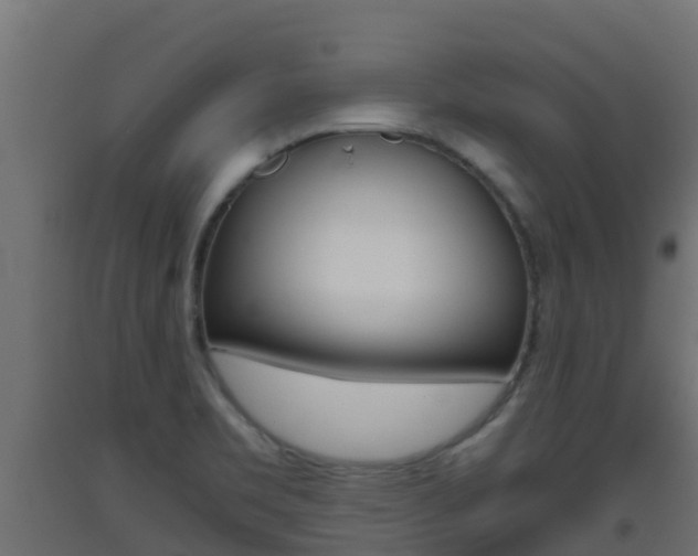 X0000093411469200710120906