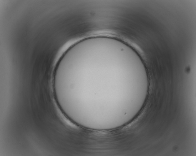 X0000093411470200710120906