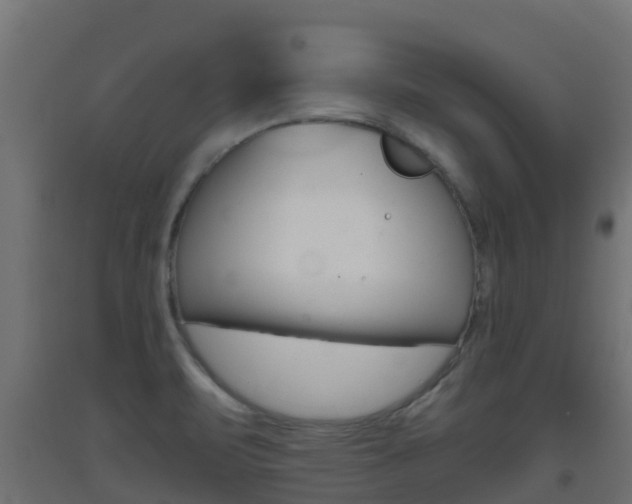 X0000093411471200710120906