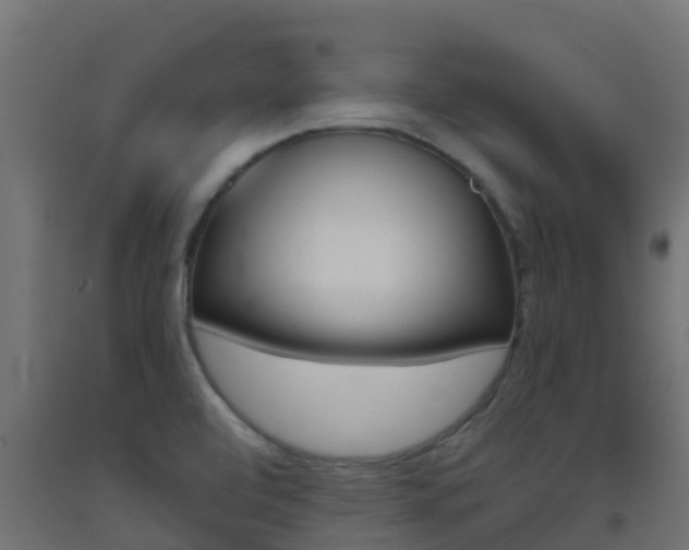 X0000093411472200710120906