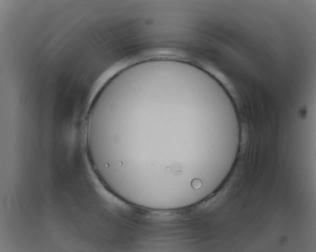 X0000093411474200710120906