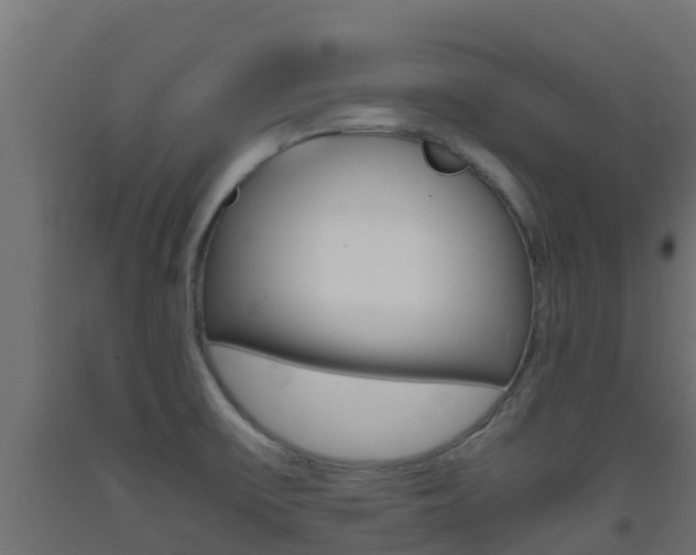 X0000093411475200710120906