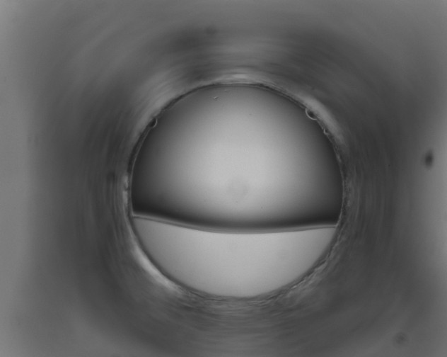 X0000093411476200710120906