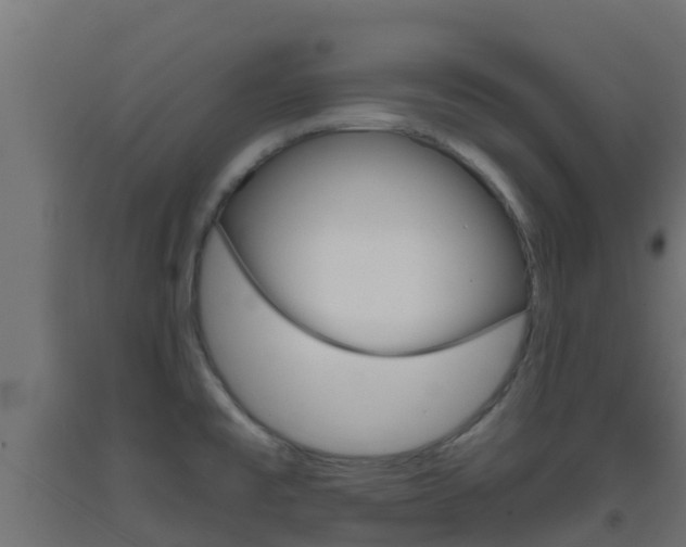 X0000093411477200710120906