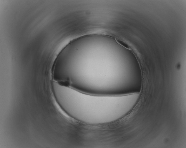 X0000093411479200710120906