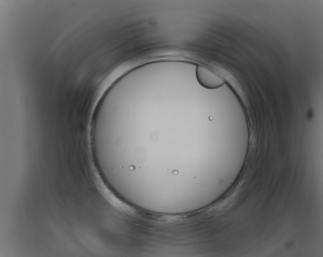 X0000093411482200710120906