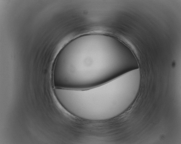 X0000093411483200710120906