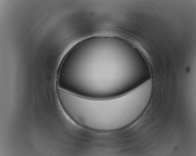 X0000093411484200710120906