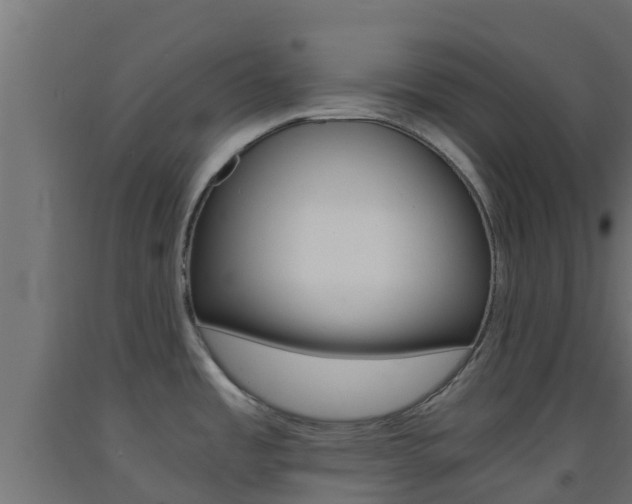 X0000093411485200710120906