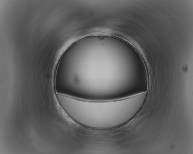 X0000093411488200710120906