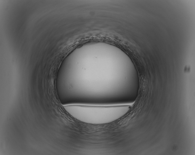 X0000093411489200710120905