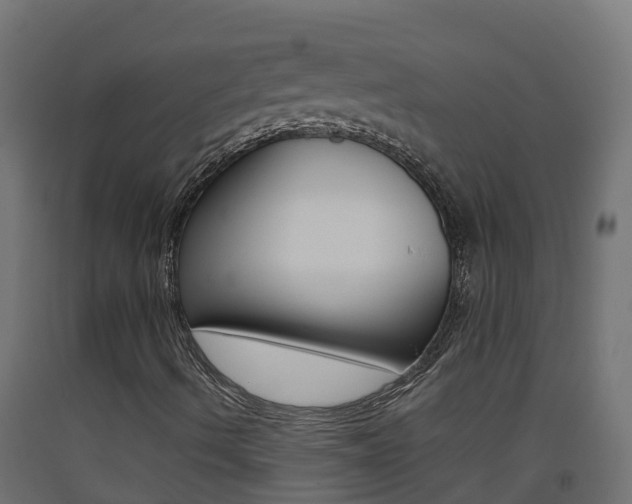 X0000093411490200710120905