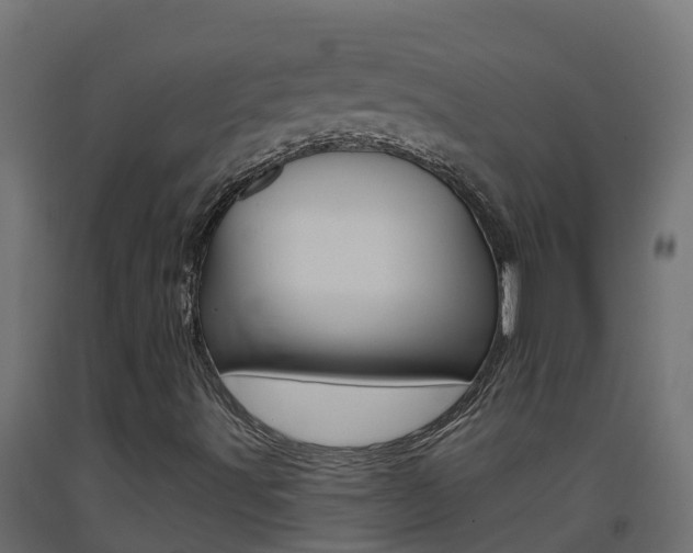 X0000093411491200710120905