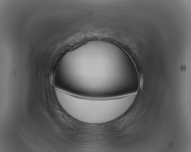 X0000093411492200710120905