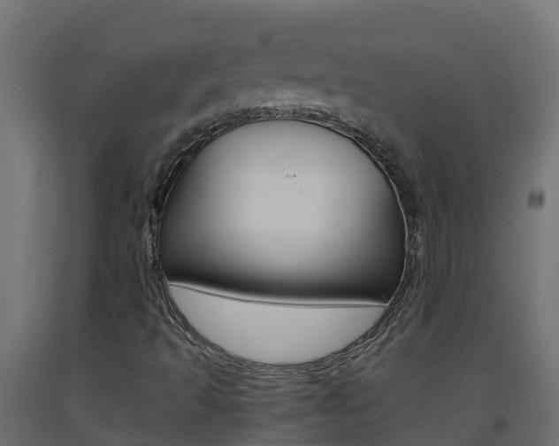 X0000093411493200710120905