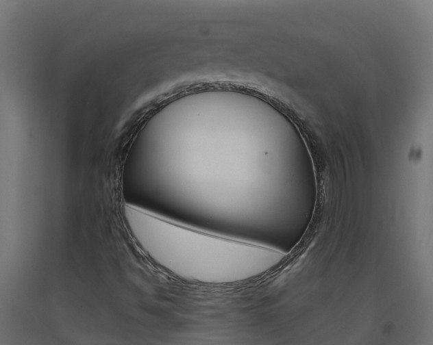 X0000093411494200710120905