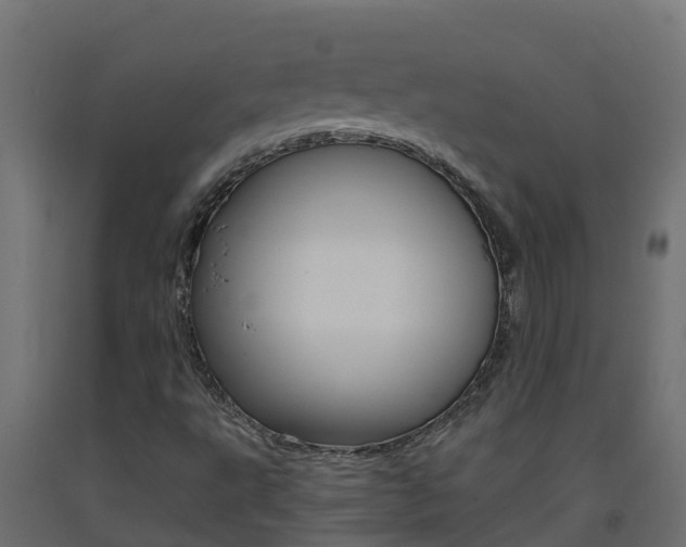 X0000093411495200710120905
