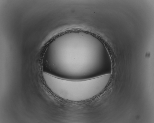 X0000093411496200710120905