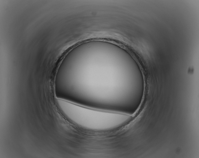 X0000093411497200710120905