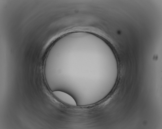 X0000093411498200710120905