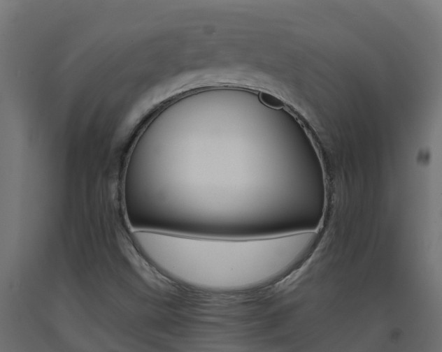 X0000093411499200710120905