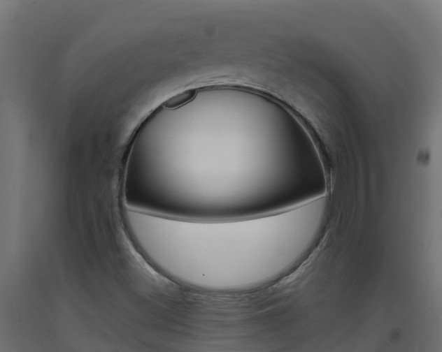 X0000093411500200710120905