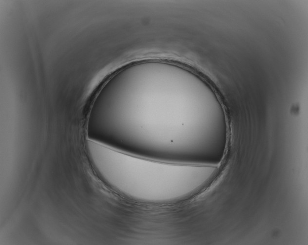 X0000093411501200710120905