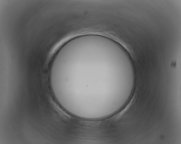X0000093411502200710120905