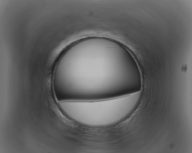 X0000093411503200710120905