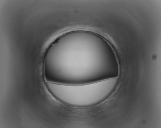 X0000093411504200710120905