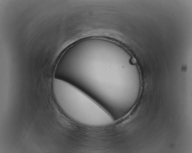 X0000093411505200710120905