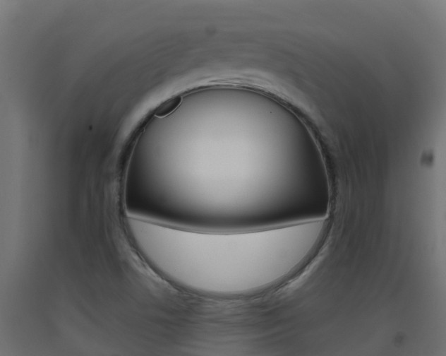 X0000093411506200710120905