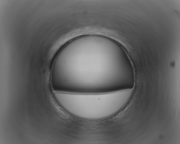 X0000093411507200710120905