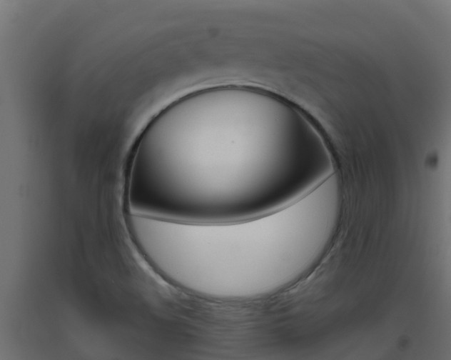 X0000093411508200710120905