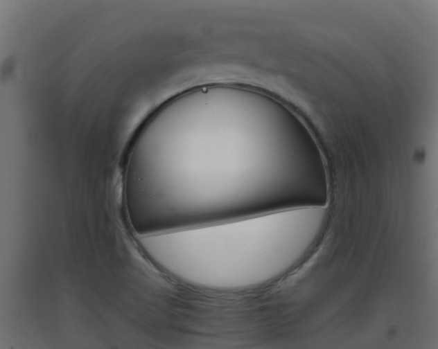 X0000093411509200710120905
