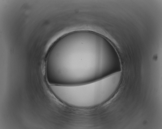 X0000093411510200710120905