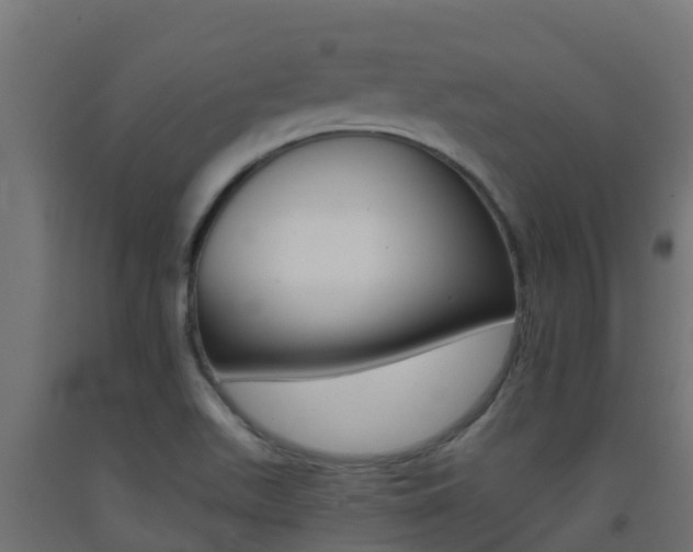 X0000093411511200710120905