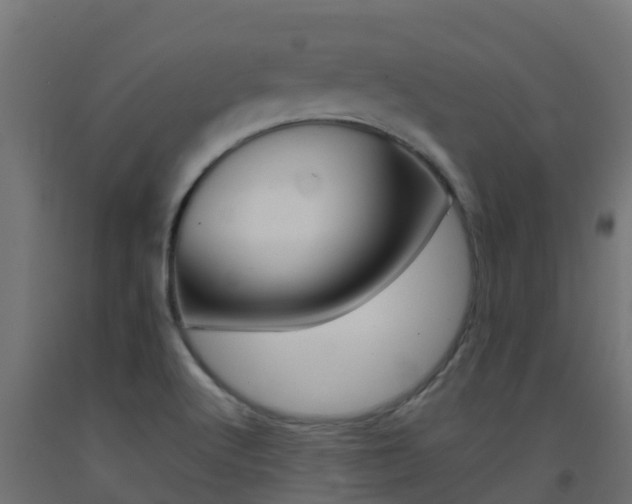 X0000093411512200710120905