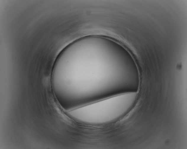 X0000093411513200710120905