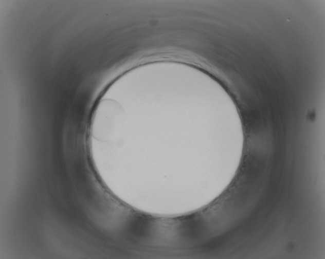 X0000093411514200710120905
