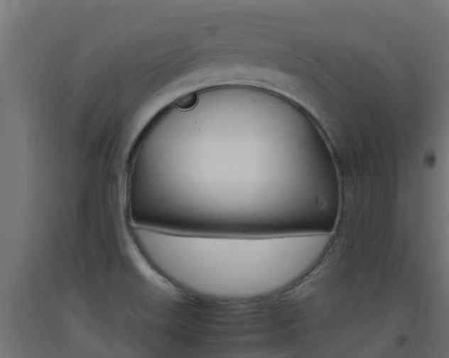 X0000093411515200710120905