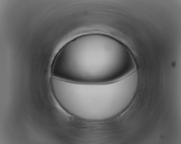 X0000093411516200710120905