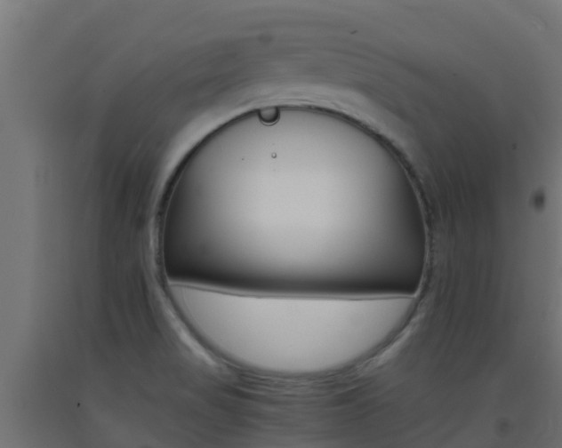 X0000093411517200710120905