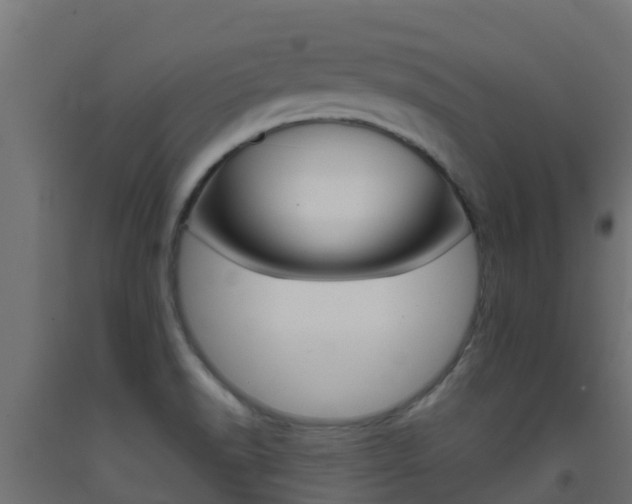 X0000093411518200710120905