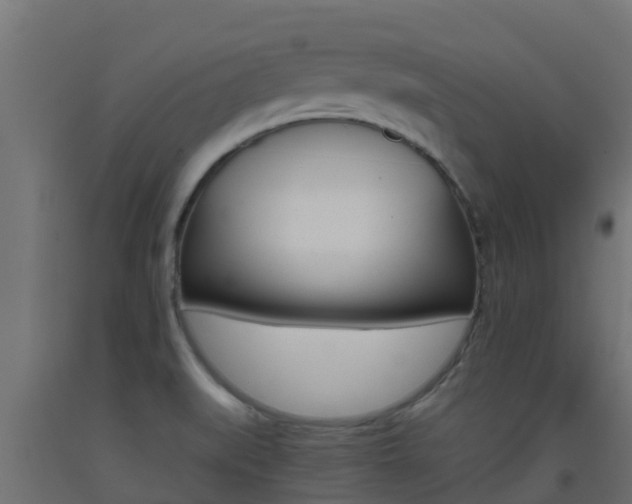 X0000093411519200710120905